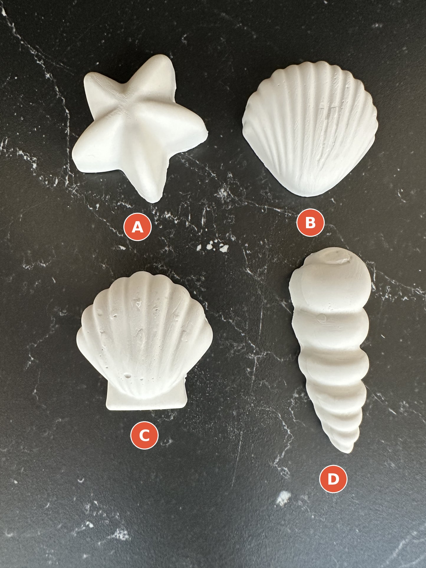 Nautical - Mermaid, Beach, Seashell Paint Your Own Kit,  Coastal Craft Party