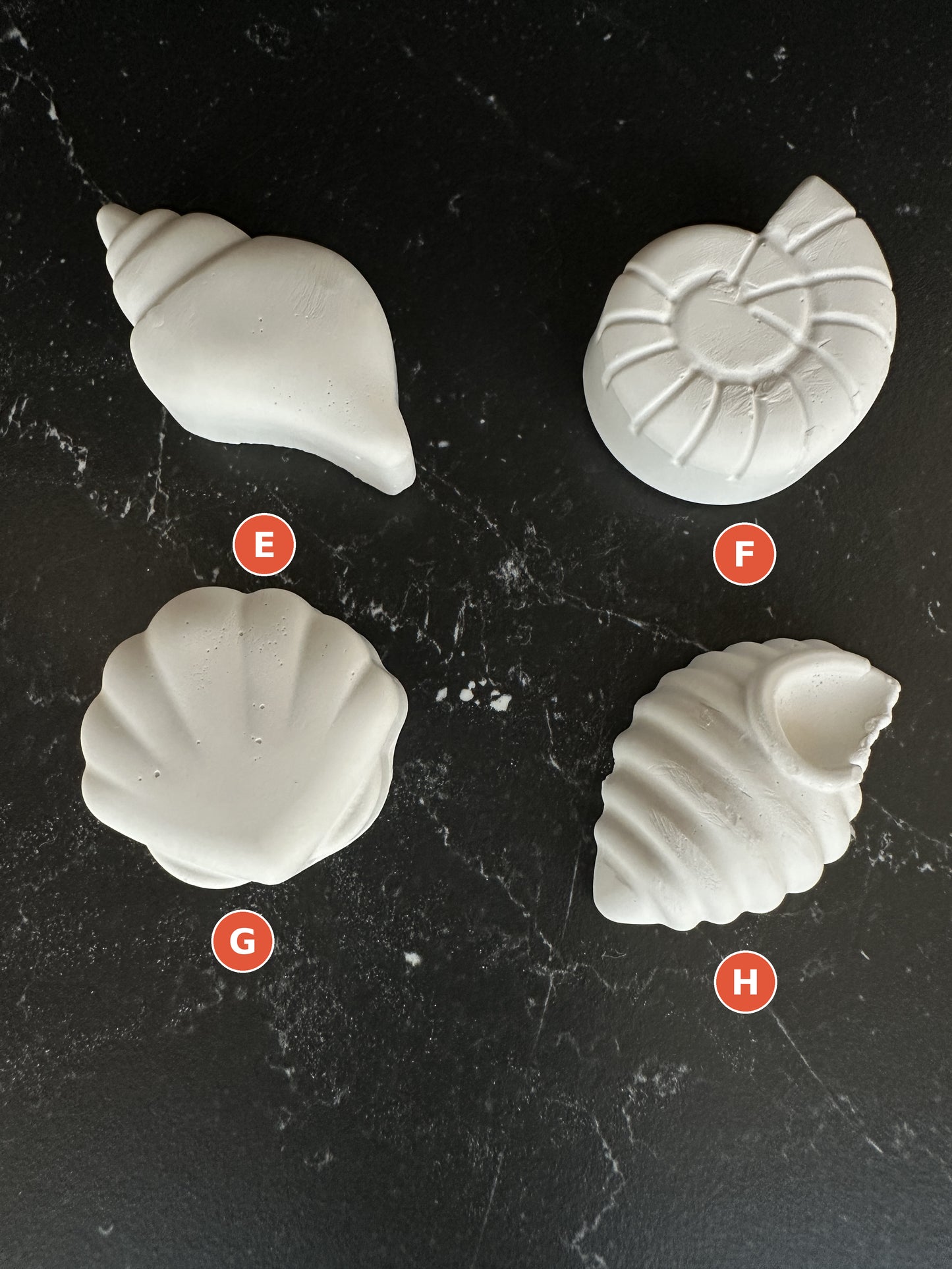 Nautical - Mermaid, Beach, Seashell Paint Your Own Kit,  Coastal Craft Party
